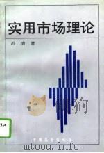 实用市场理论（1990 PDF版）