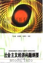 社会主义经济问题纲要（1998 PDF版）