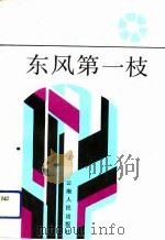 东风第一枝 昆明市五华区“科技兴区”研究 1992 PDF电子版封面 7222009604 车志敏主编