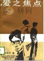 爱之焦点 1989 PDF电子版封面 750590745X 张资平著