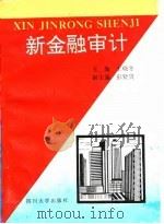 新金融审计（1995 PDF版）