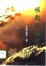 崛起的镇沅（1996 PDF版）