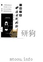 一目了然中医方剂图解（1987 PDF版）