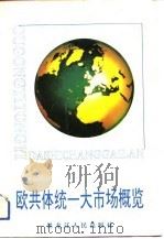 欧共体统一大市场概览（1993 PDF版）