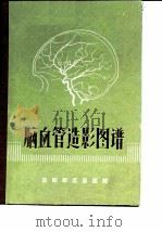 脑血管造影图谱（ PDF版）