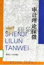 审计理论探微（1998 PDF版）