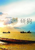 价值转移——竞争前的战略思考（1999 PDF版）