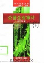 公营企业审计（1998 PDF版）