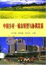 中国乡村-城市转型与协调发展（1998 PDF版）