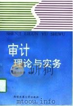 审计理论与实务（1996 PDF版）