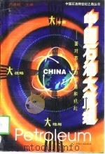 中国石油大重组  面对市场的机遇和挑战（1998 PDF版）