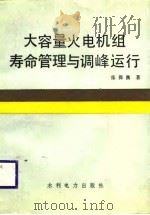 大容量火电机组寿命管理与调峰运行 1988 PDF电子版封面 7120003798 张保衡著