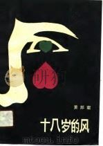 十八岁的风（1990 PDF版）