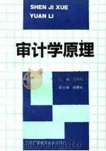 审计学原理（1992 PDF版）