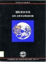 国际资本市场  发展、前景和主要政策问题（1999 PDF版）