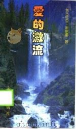 爱的激流（1989 PDF版）