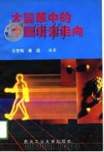大变革中的中国经济走向（1993 PDF版）