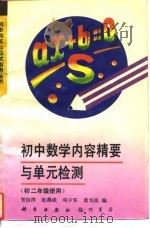 初中数学内容精要与单元检测（1994 PDF版）