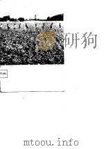 今日嘉峪关内外（1975 PDF版）