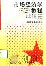 市场经济学教程（1996 PDF版）