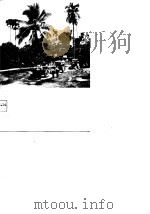 金太阳照亮了西双版纳 1978 PDF电子版封面 3001·1062 征鹏,方岚同著
