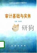 审计基础与实务（1997 PDF版）