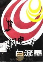 黑闪电与白流星（1987 PDF版）