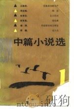 1984中篇小说选  第1辑（1985 PDF版）