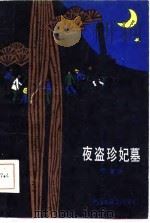 夜盗珍妃墓（1986 PDF版）