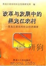 改革与发展中的黑龙江农村 黑龙江省农村社会经济调查 下 1996 PDF电子版封面 7207036876 黑龙江省农村社会发展研究所编