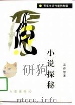小说探秘（1990 PDF版）