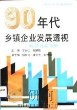 90年代乡镇企业发展透视 机遇、挑战、战略 1993 PDF电子版封面 756081341X 丁永仁,万解秋主编