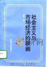 社会主义与市场经济的联姻 对一个历史性难题的理论考察 1996 PDF电子版封面 7505808958 张宇著