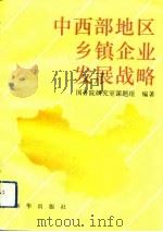 中西部地区乡镇企业发展战略（1993 PDF版）