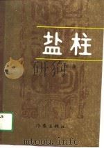 盐柱（1989 PDF版）
