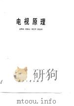 电视原理 1988 PDF电子版封面 7118003476 俞斯乐等编