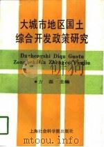 大城市地区国土综合开发政策研究（1991 PDF版）