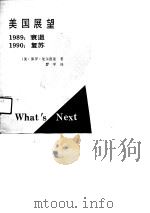 美国展望  1989：衰退  1990：复苏（1989 PDF版）