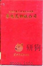 攀枝花钢铁公司（1996 PDF版）
