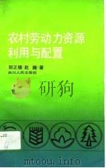 农村劳动力资源利用与配置（1991 PDF版）