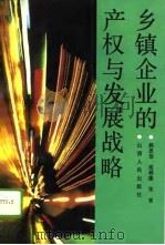 乡镇企业的产权与发展战略（1992 PDF版）