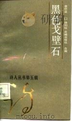 黑色戈壁石（1986 PDF版）