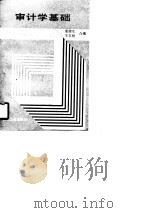 审计学基础 1990 PDF电子版封面 7111020391 董健生,王尔柏编