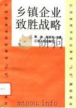 乡镇企业致胜战略（1992 PDF版）