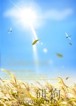 太原府——新编传统鼓书《响马传》选段 1982 PDF电子版封面 李成林