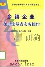 乡镇企业现金流量表实务操作（1999 PDF版）