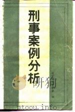 刑事案例分析（1985 PDF版）