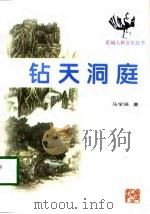 钻天洞庭（1998 PDF版）