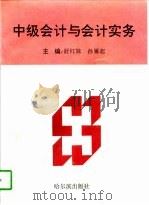 中级会计与会计实务（1996 PDF版）