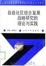 县级社区综合发展战略研究的理论与实践（1994 PDF版）